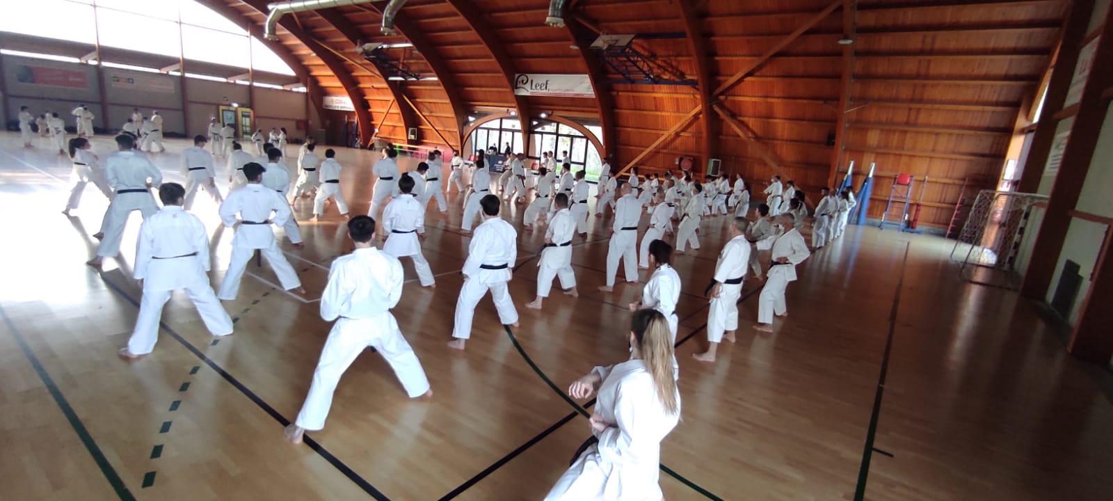 Seminario Nazionale di Karate Tradizionale