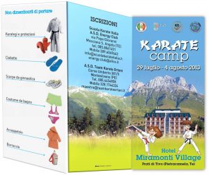 Karate Camp 2013