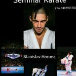 Stage di Kumite con il campione Stanislav Horuna