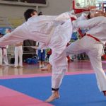Modello prestativo del Kumite (Eventskarate 09 feb.2005)