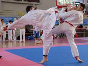 Modello prestativo del Kumite (Eventskarate 09 feb.2005)